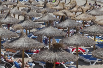 Summer beach with deckchairs and straw parasols, Majorca, Balearic Islands, Spain, Europe