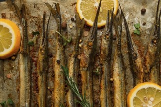 Fried fish, sargan, black sea pike, top view, close-up, no people