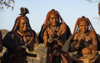 Traditional Himba woman clapping, music and dance, portraits, in the evening light, near Opuwo,