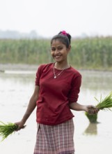 Morigaon, India. 20 February 2024. A women pose for photograph holding rice sapling, as she plant