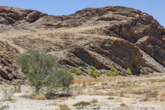 Kuiseb River, travelling along the C14, Namibia, Africa