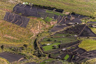 2016, Haria, Lanzarote, Haria, ESP, Spain, Canary Islands, Canary Islands, Atlantic Ocean,