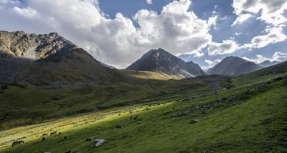 Green high valley with mountains, Keldike Valley on the way to the Ala Kul Pass, Tien Shan