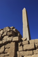 Luxor, Karnak Temple, obelisk of the pharaoh Hatshepsut, stands in the Amun Temple in Karnak,