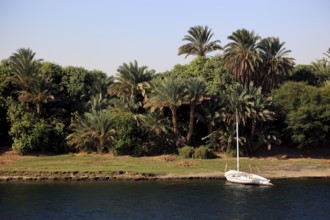 Landscape along the Nile, between Luxor and Esna, Africa, Upper Egypt