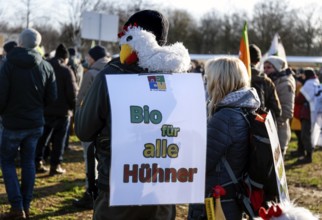 Thousands of demonstrators at the Wir haben es satt! demonstration, thousands of demonstrators