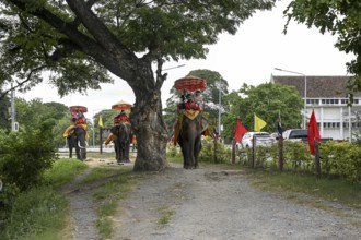 Tourists on a riding elephant near the Grand Palace, old royal palace, Ayutthaya, Ayutthaya