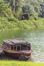 Boat on the river in the jungle