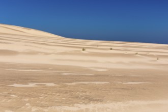 Lacka dune in the Slowinski National Park, a national park in Pomeranian Voivodeship in northern