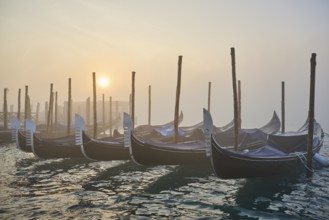 View from 'Colonna di San Marco e San Teodoro' on the gondolas lying in the water at sunrise in