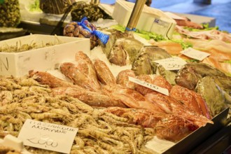 Fresh cought fish for selling on a daily market at 'Mercato di Rialto' town square in Venice,