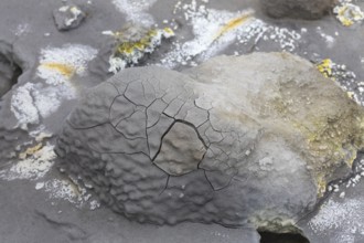 Solfatara field with hot pools and boiling mud at Seltun, Reykjanes nature reserve