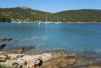 Rocky coast with blue sea and sailing boats on the horizon, ships in Kosirina Bay, Murter, Murter