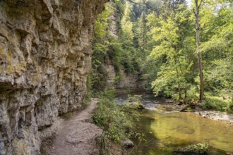 Rock face and the river Wutach in the Wutach Gorge, Black Forest, Baden-Württemberg, Germany,