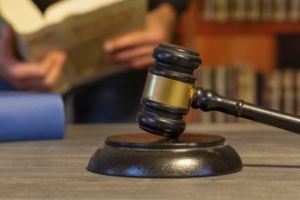 Close-up of a judge's gavel, in the background a man reads a law book (symbolic image)