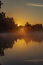 Autumnal morning atmosphere at Schmutter Weiher with fog near Lechbruck, Halblech and Roßhaupten in