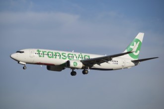 Lisbon, Portugal - September 2, 2023: Transavia Boeing 737-82R passenger plane landing in Humberto