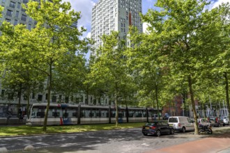 Urban greening, inner-city street Laan op Zuid, in Rotterdam's Feijenoord district, 4 lanes, 2 tram