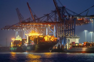 Container terminal Tollerort, container ships are loaded and unloaded, one of 4 container terminals