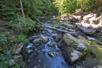 The Irrel Waterfalls, rapids in the lower course of the Prüm between Prümzurlay and Irrel, in the