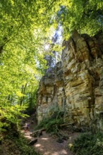 The Devil's Gorge, narrow, accessible gorge of sandstone rocks, with steep rocky gorges, near