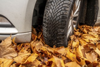 Driving on autumn leaves, slippery surfaces, leaves, grip from winter tyres