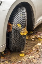 Driving on autumn leaves, slippery surfaces, leaves, grip from winter tyres