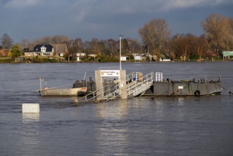 Flood on the Rhine, Flooded jetty near the village of Grieht, Kalkar, North Rhine-Westphalia,