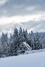 Winter in Sauerland, Hochsauerlandkreis, at Kahler Asten, near Winterberg, few tourists, visitors,