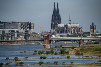 Crane houses, at the customs harbour, Cologne-South, residential and office high-rise buildings,