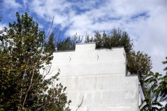 Roof garden of a house planted with trees, Berlin, 14.09.2024. Roof gardens create space for