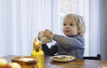 Toddler sitting alone at the dining table and wiping his hands on a napkin, Oostkapelle, 20/01/2024