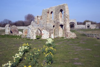 Remains of Greyfriars Priory, Dunwich, Suffolk, England, UK