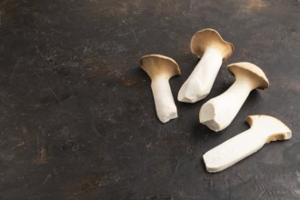 King Oyster mushrooms or Eringi (Pleurotus eryngii) on black concrete background. Side view, copy