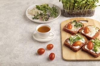 Red beet bread sandwiches with cream cheese, tomatoes and microgreen on gray concrete background.