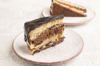 Chocolate biscuit cake with caramel cream and walnuts, on gray concrete background. side view,