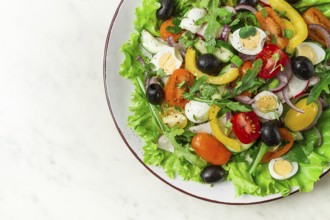 Vegetable salad, with quail eggs and olives, fresh, close-up, no people