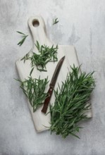 Fresh Tarragon, on a cutting board, slicing, on a light table, top view, no people