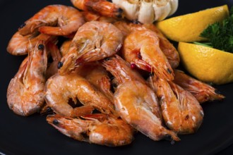 Fried shrimp, on a black background, top view, no people