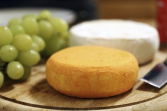 Cheese platter with various types of soft cheese and grapes