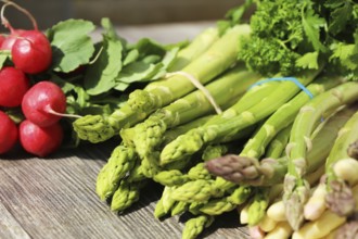 Green asparagus and white asparagus decorated on a rustic wooden table