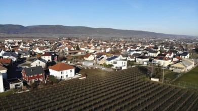 Aerial view of Ruppertsberg, Rhineland-Palatinate