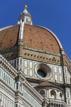 Dome of the Cathedral of Santa Maria del Fiore, Duomo, building, architecture, history, culture,