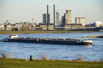 Düsseldorf, city centre skyline, skyscrapers, Rheinkniebrücke, Rhine, cargo ship