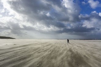 North Sea, Spiekeroog Island, autumn, strong wind drives the sand over the mudflats at low tide,