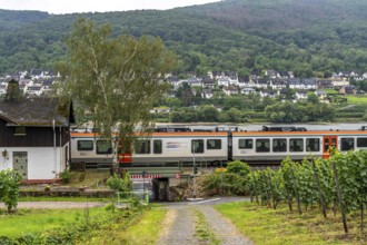 Upper Middle Rhine Valley, railway line on the right bank of the Rhine, regional train, goods train