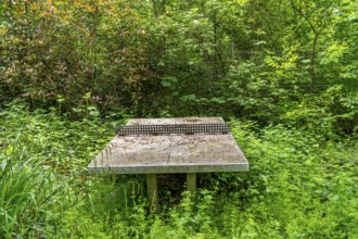 Lost Places, old table tennis table on an abandoned, closed playground, overgrown and surrounded by