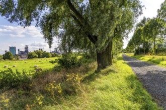 Duisburg Friemershein, field path, floodplain along the Rhine, nature reserve Rheinaue