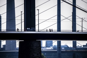 Oberkassler bridge over the Rhine near Düsseldorf, in front, behind the Rheinknie bridge, cyclist,