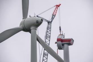 Erection of a wind turbine, wind energy plant, assembly of the ring generator, with a crawler